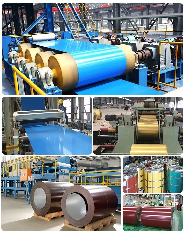 Steel Coil/Color Coated Coil/Color/PPGI/Galvanized Coil/Aluminum Coil/Galvanized Product/Alloy/Non Alloy/Steel Wire/Factory/Roof Sheets/Carbon Steel Coil/Gi