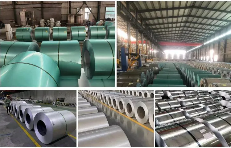 Factory Galvanized Steel Coil G500 Coil Steel Hot DIP Galvanized Steel Coil