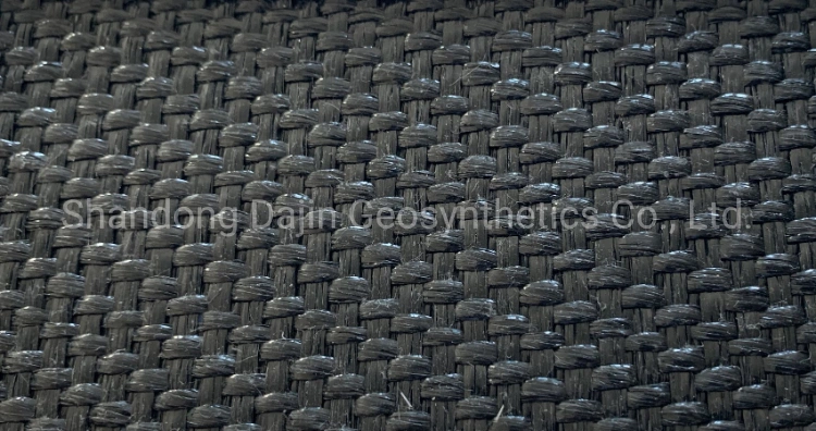 10% Elongation Pet PP Woven Geotextile for Soil Erosion Control Mine Landfill Coast Geotube