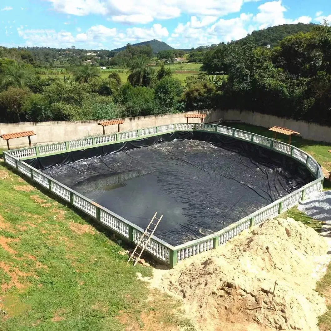 Waterproof HDPE Geomembrane for Water Conservancy Projects