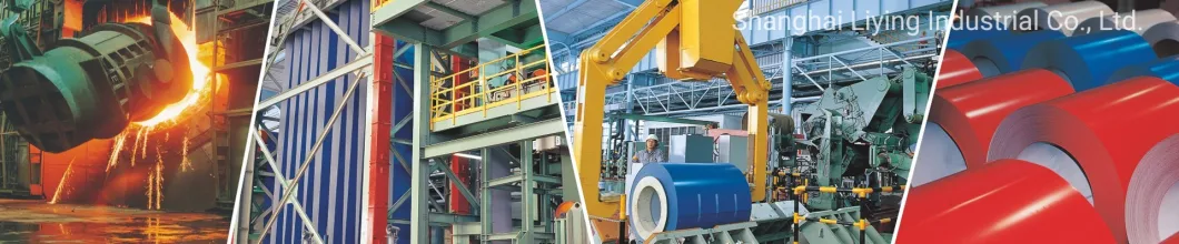 Ral Color Fluoropolymer PVDF Coated Steel Coil with 25 Years Warranty High-Performance Applications