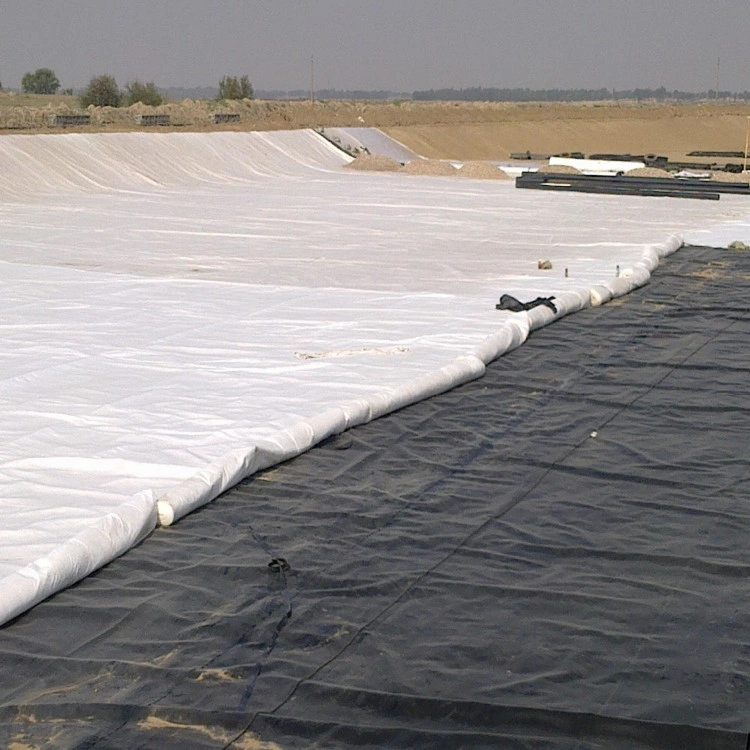 100GSM 200g Needle Punched White Non Woven Geotextile Filter Fabric for Landfill Project in Peru