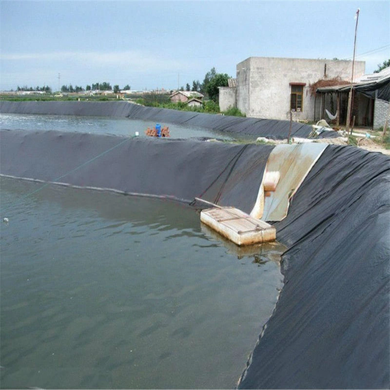 HDPE Geomembrane Price 0.75mm 1mm Swim Pool Fish Pond Farm Line Waterproof Geo Membrane