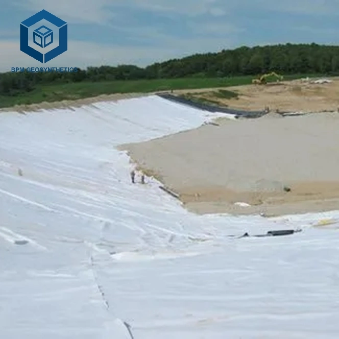 Non Woven Pet Geotex Geotextile Membrane for Road Paving in Southeast Asia