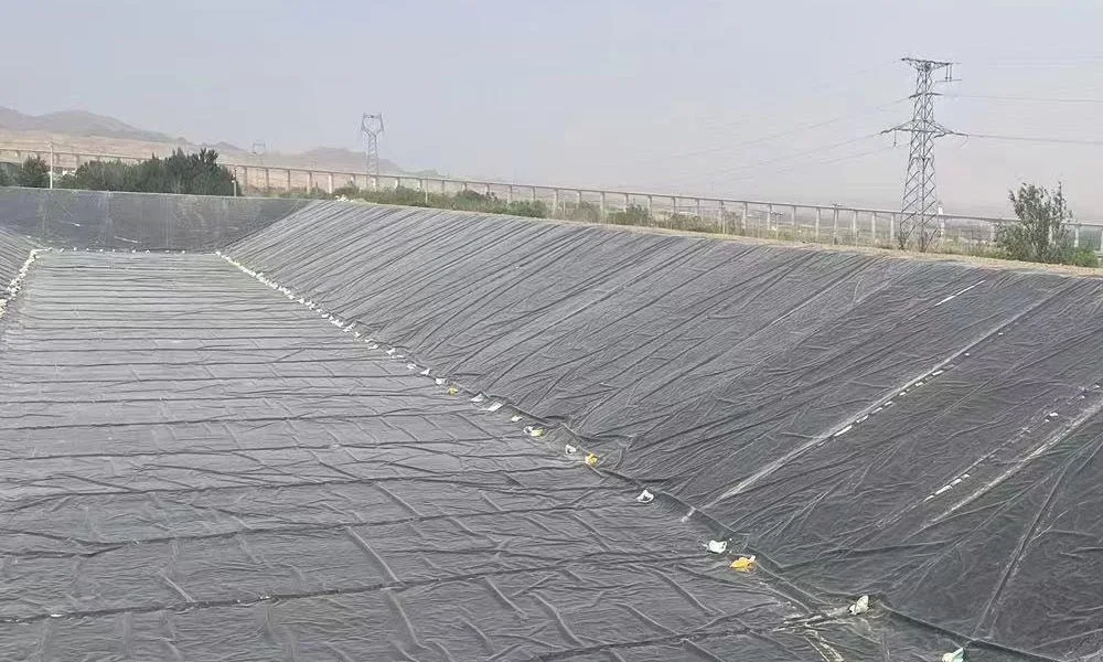 0.3-3mm HDPE/LDPE/LLDPE/PVC/EVA Geomembrane Waterproof Impermeable Soft Smooth Textured /Composite Customized Membrane