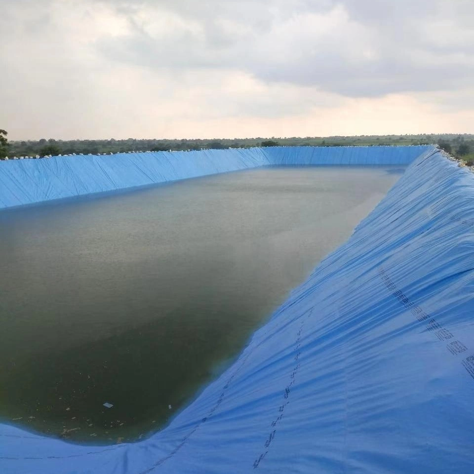 Fish Pond Liner HDPE Geomembrane for Agriculture Irrigation Water Dam Factory Price