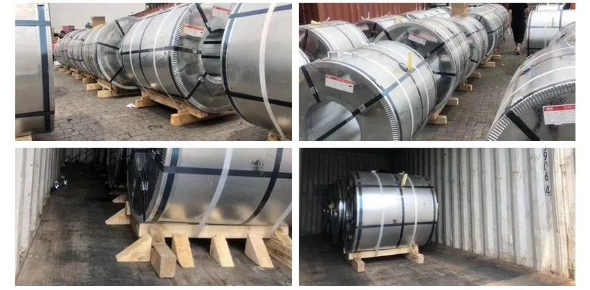 China Iron Factory Galvanized Steel Sheet Coil