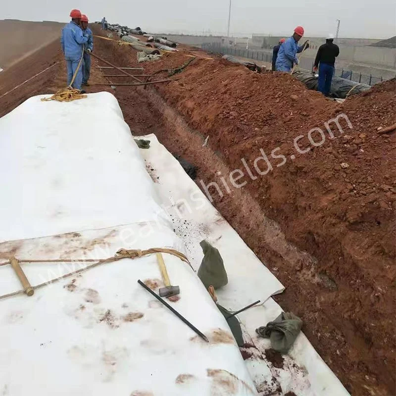 for Landfill Project Geotextile Non-Woven and Woven Fabric Geotextile 100-800GSM