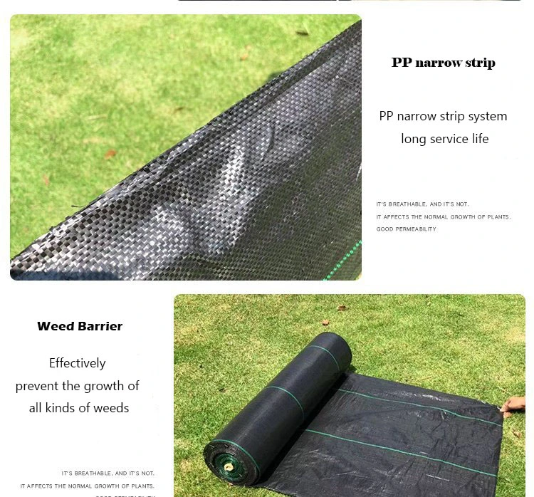 Black Color Weed Mat Woven Geotexitle Weed Barrier Fabric