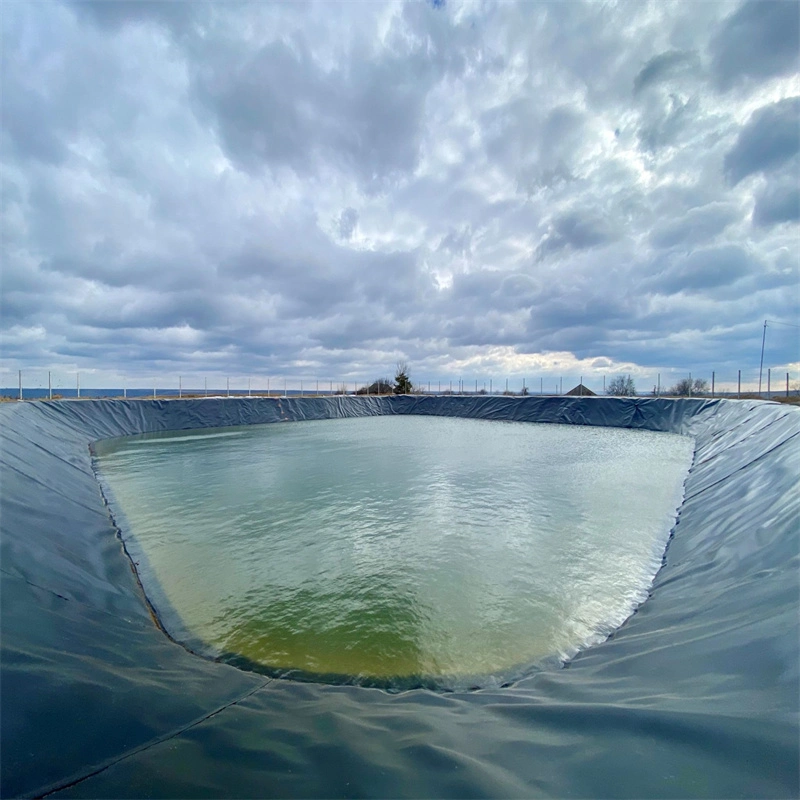 2mm Environmental Protection Dam Lake Pond Anti Seepage Film Layer Plastic Membrane