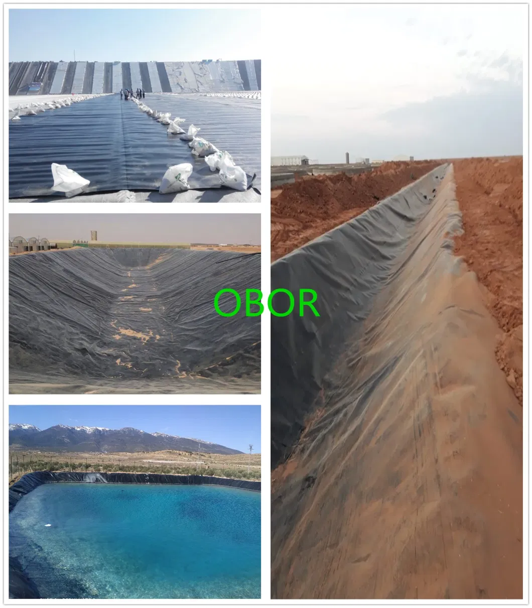 Road Construction ASTM Standard HDPE Composite Geomembrane