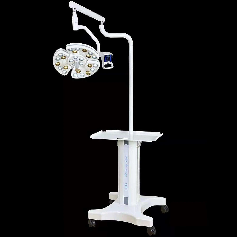 Medical Light LED Surgical Operation Lamp for Dental Chair LED Oral Lamp Shadowless for Implant Surgery