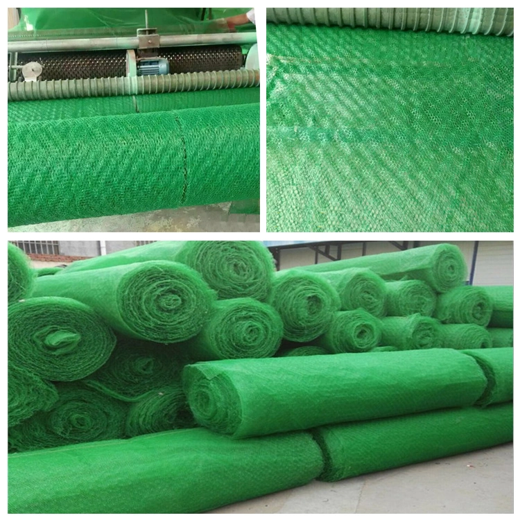 Erosion Control Geomat/Planting Mat/Plastic Mesh/3D Geomat