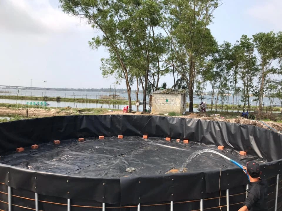 0.3mm/0.8mm/1.2mm/1.5mm/2mm Vannamei Shrimp Catfish Farm HDPE Geomembrane Dam Liner in Chile/Peru/Dominica/Nicaragua/Cambodia