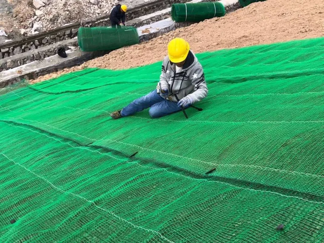 Erosion Control Mat 3D Fabric Geomat Slope Protection
