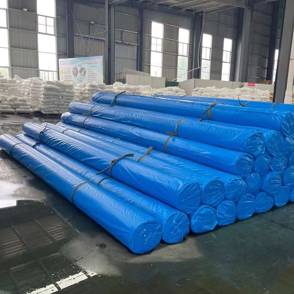 0.3-3mm HDPE/LDPE/LLDPE/PVC/EVA Geomembrane Waterproof Impermeable Soft Smooth Textured /Composite Customized Membrane