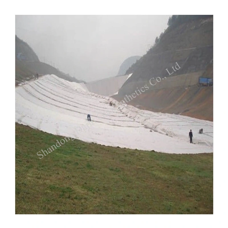 Pet Polyester Geotextile Nonwoven White Geo Textile for Reinforcement Filtration Separation
