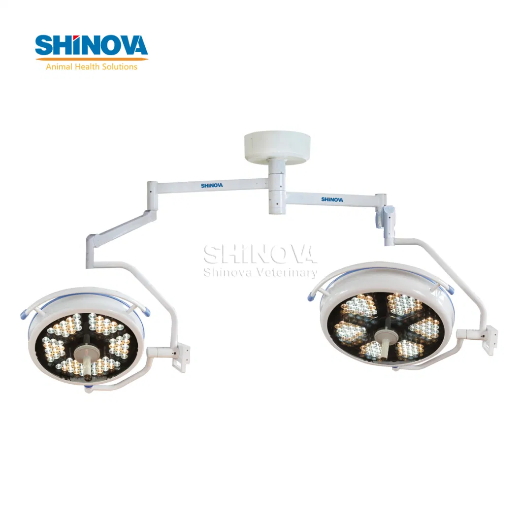 High Quality Ceiling Type Double Head Operation Light LED Shadowless Operating Lamp
