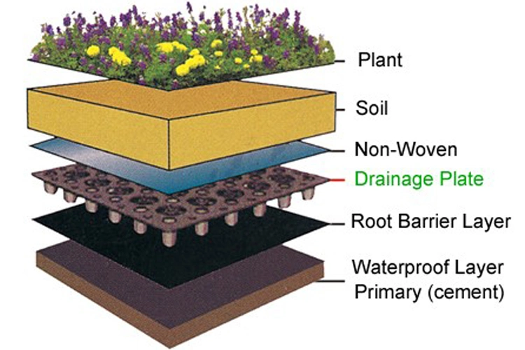 Factory Pirce Hot Sell HDPE Dimple Membrane Black Drainage Board