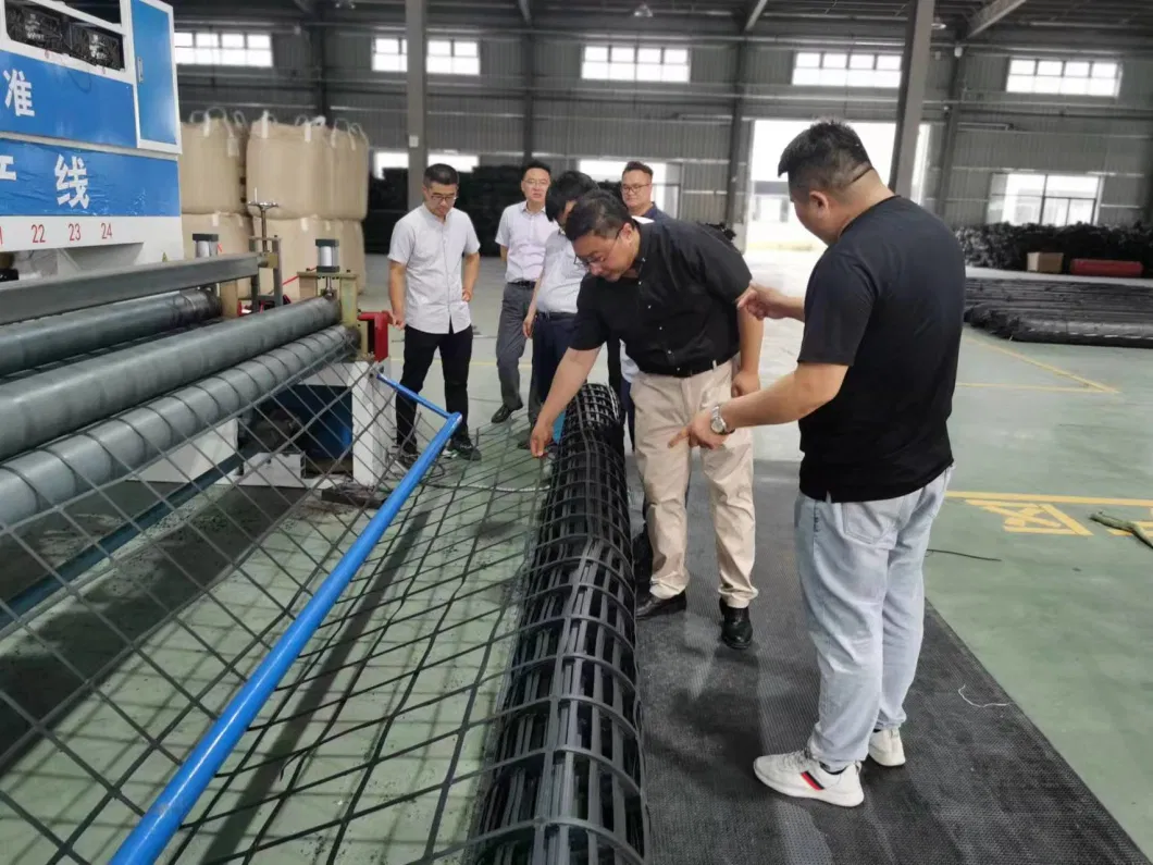 Anhui Chuangwan New Materials Retaining Wall Drainage Mat Sheet Drainage Board