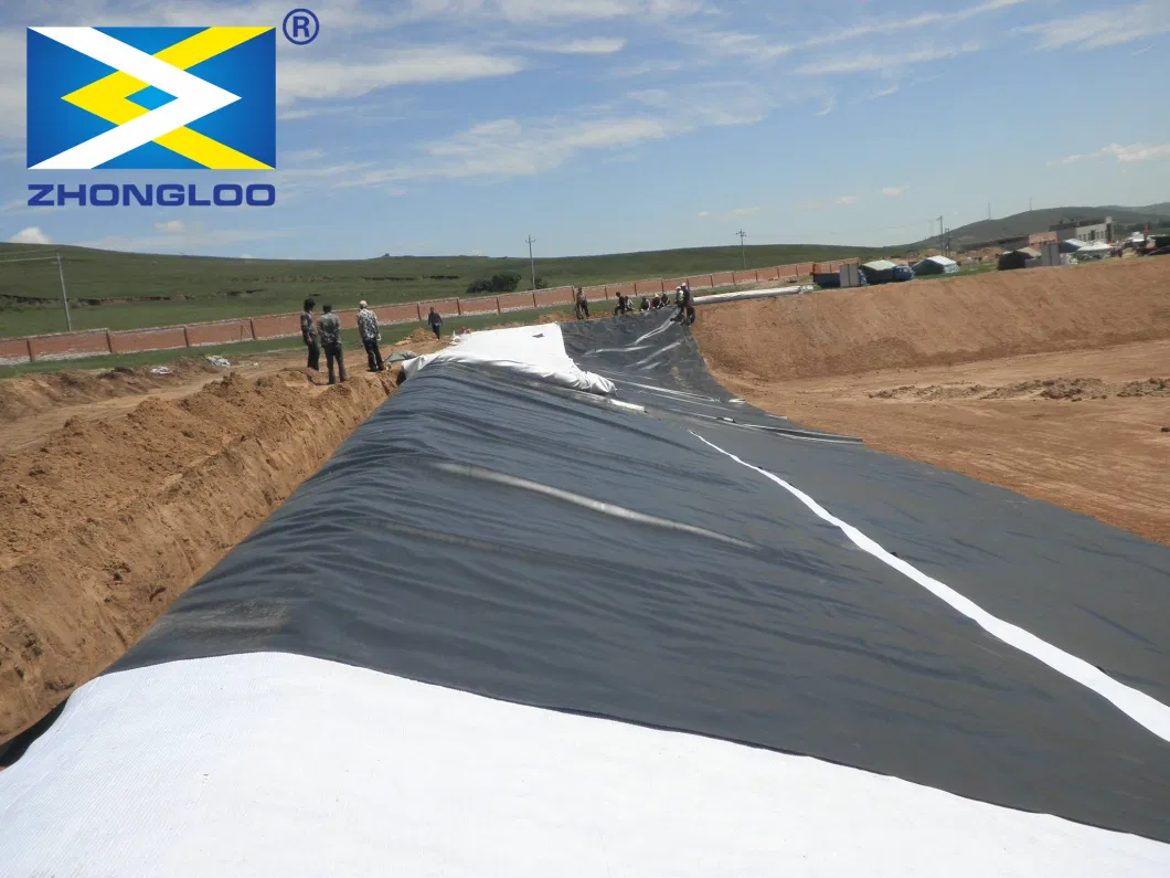 HDPE Geomembrane Price 0.75mm 1mm Swim Pool Fish Pond Farm Line Waterproof Geo Membrane