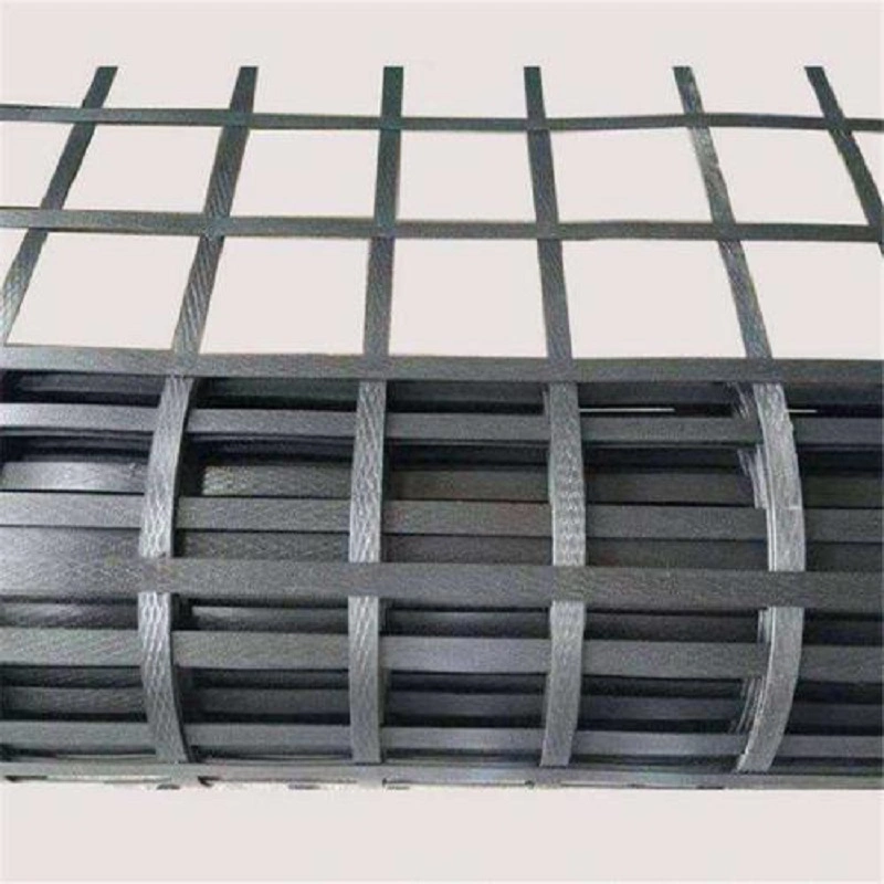 Steel Plastic Geogrids for Construction and Slope Protection New Materials