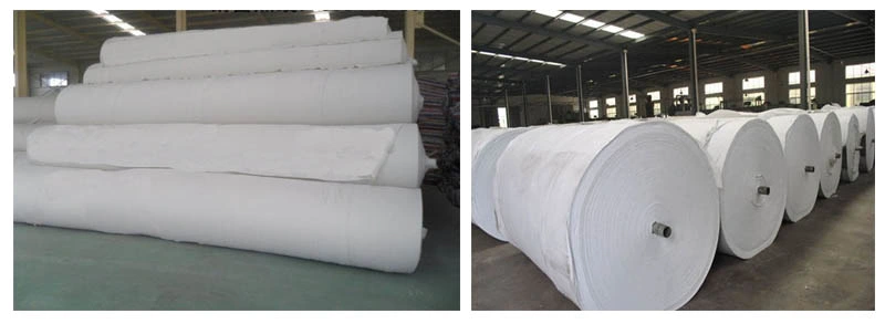 150g 200g 300g 400g 500g 800g 1000g Reinforced PP/Pet Polyester Woven/Nonwoven Geotextile Price for Road Construction Factory Price China