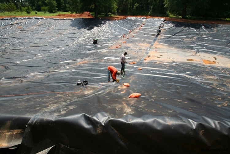 Factory Supply HDPE Geomembrane for Fish Farm Pond Liner