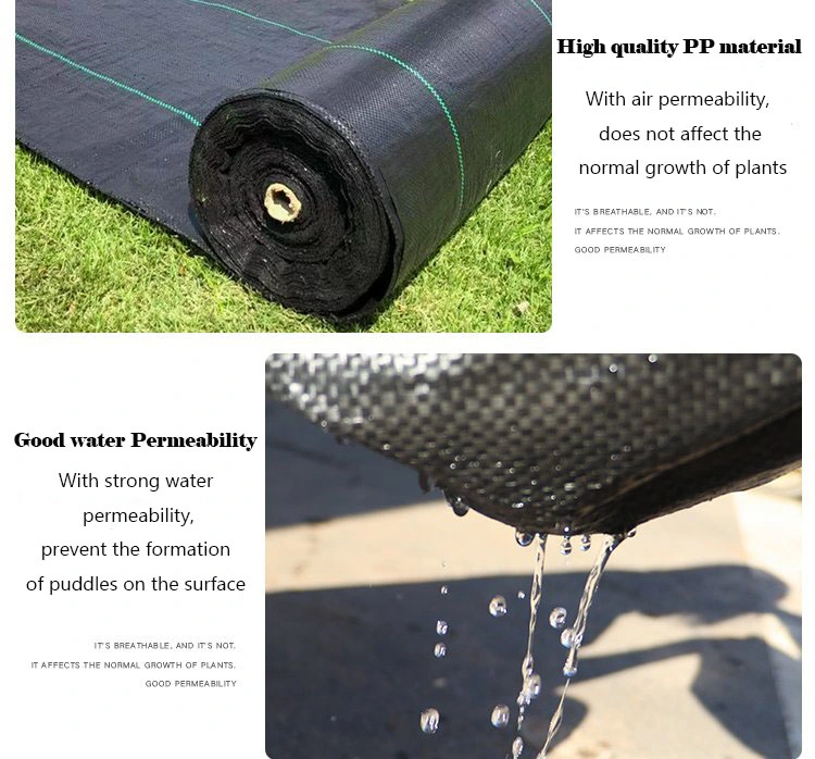 Black Color Weed Mat Woven Geotexitle Weed Barrier Fabric