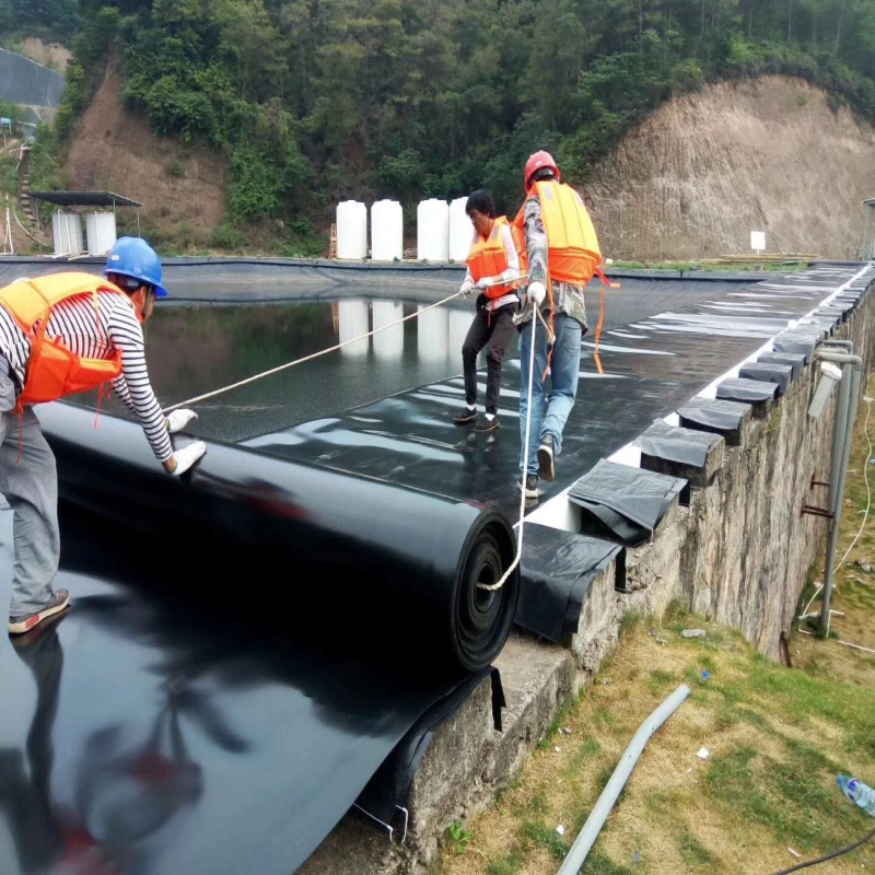 40 60 80 Mils HDPE Impermeable Geomembrane for Fish Farm Pond Liner