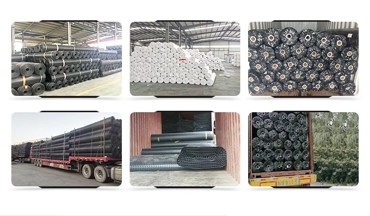 120-120kn Polyester Geogrid Pet Biaxial Geogrid for Slope Protection Railway Road Construction Price