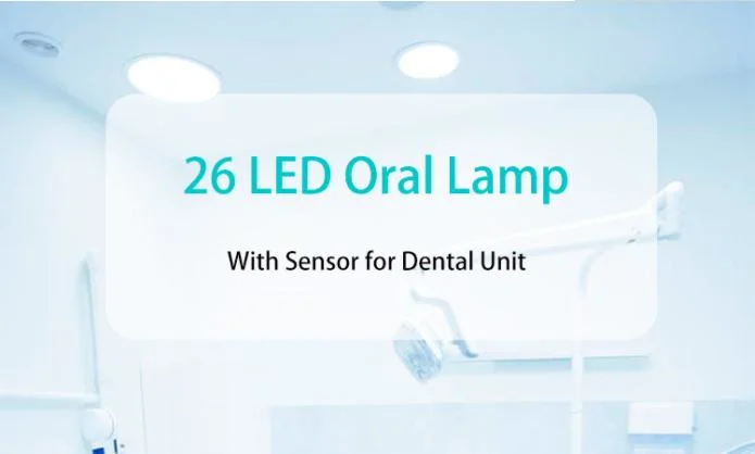 Medical Light LED Surgical Operation Lamp for Dental Chair LED Oral Lamp Shadowless for Implant Surgery