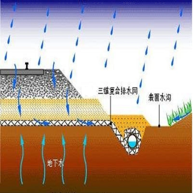 150/2-1600/2 Composite Networks Tri-Dimension Compound Geonet for Landfill Road Railway Drainage