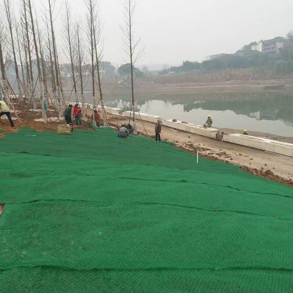 China Factory Three-Dimension 3D HDPE Geomat for Construction and Slope Protection