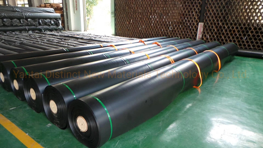 Geomembrane