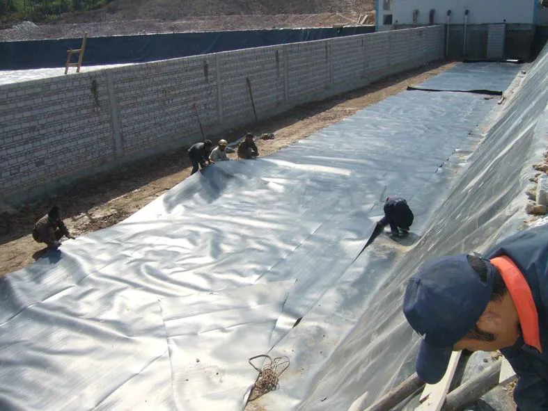 Chinese Eco-Friendly 0.75mm HDPE Geomembrane Liner Waterproofing Membranes