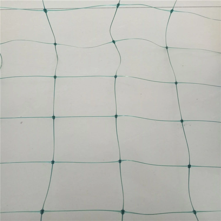 100%New for Vegetable Nursery Cucumber Netting Vine Netting