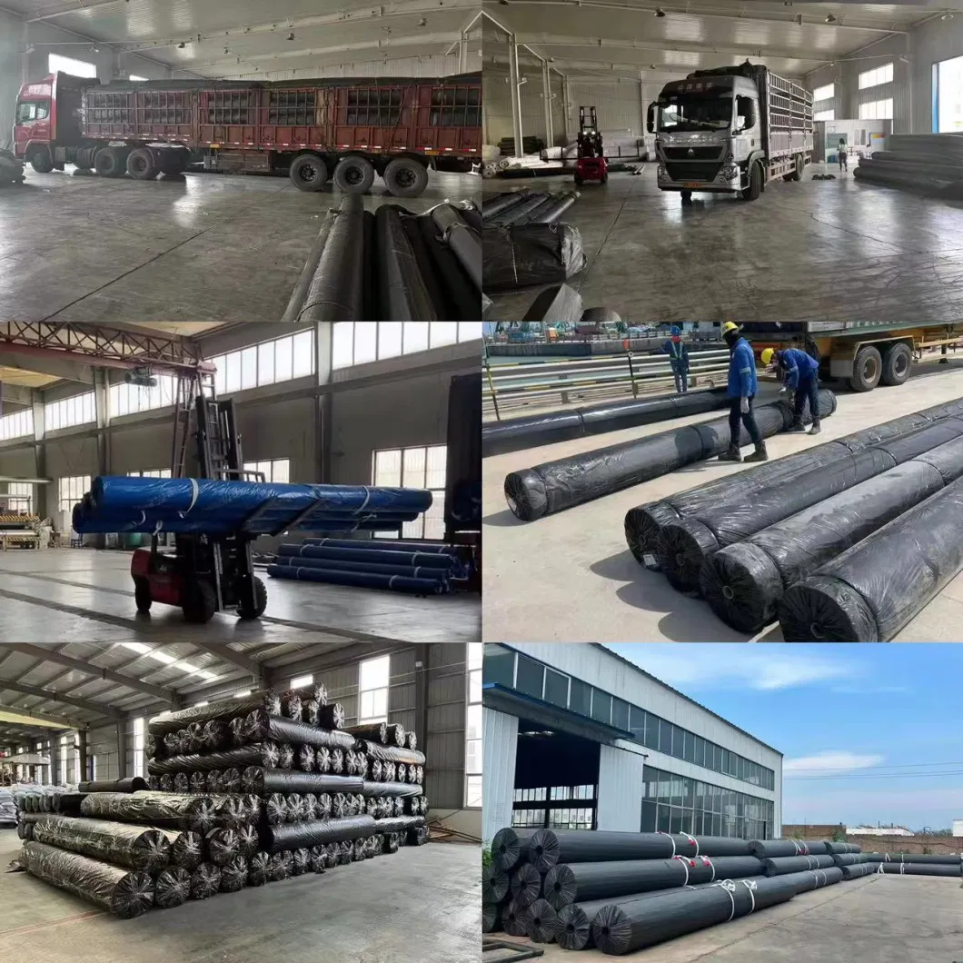 Polypropylene Short Fabric PP Non-Woven Geotextile Filtration Drainage Separation for Contruction Materials