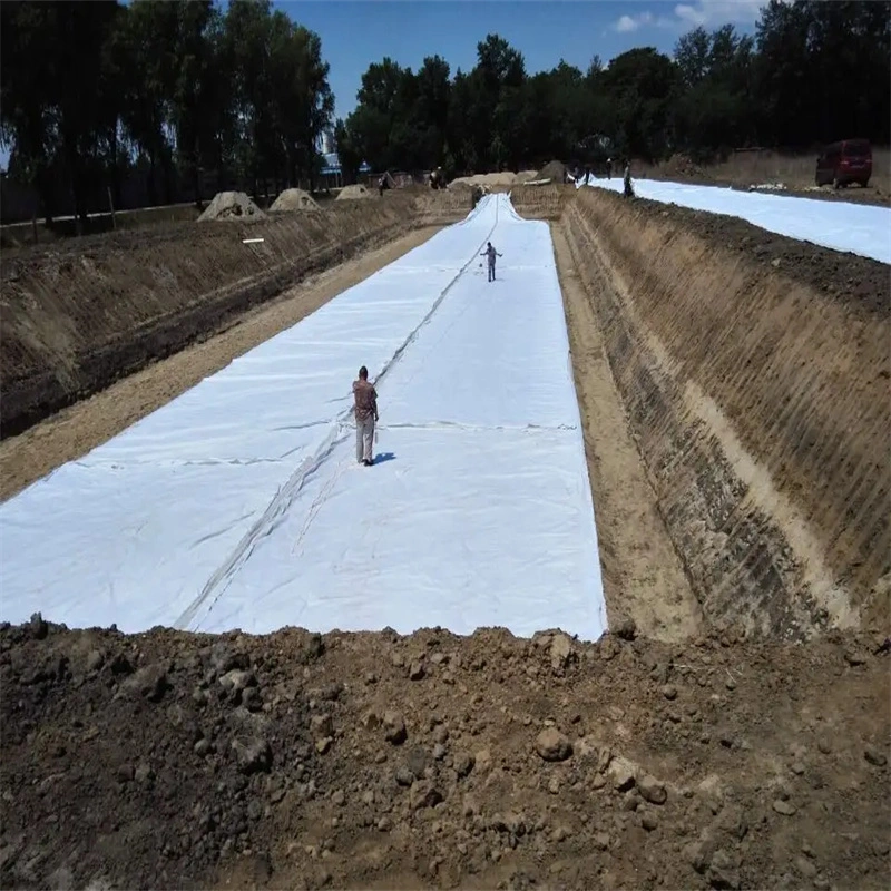 Two Textile One Membrane PE Composite Geomembrane Used in Anti-Seepage