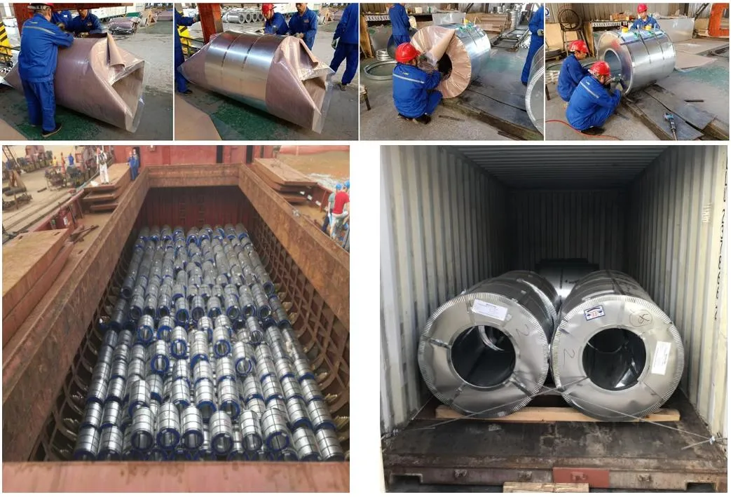 Dx51d/Dx52D/ Zinc Coated Cold Rolled/Hot Dipped Galvanized Steel Coils Factory Direct Sale Z40 Z60z80z100cold Rolled High Strength Zinc Coated Coils