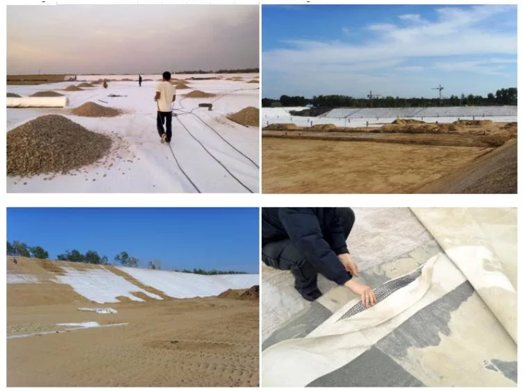 Earthwork Products 5mm Double-Sides Coated Geotextile Composite Drainage Geonet for Drainage