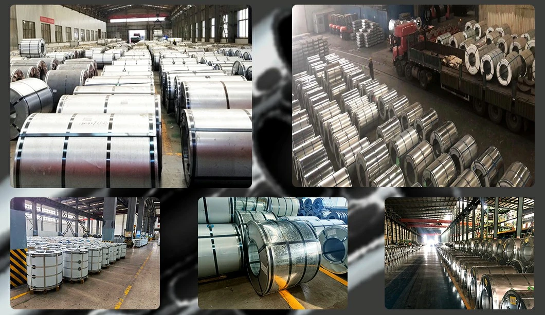 Chinese Suppliers Galvanized Steel Coil Gi 0.23mm-50mm Customization Dx51d Z06 Galvanized Steel Coil Price Manufacturer