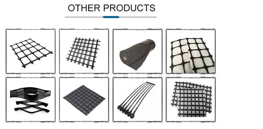 Cheap Stabilization PP Geogrid Soil Reinforcement Biaxial Plastic