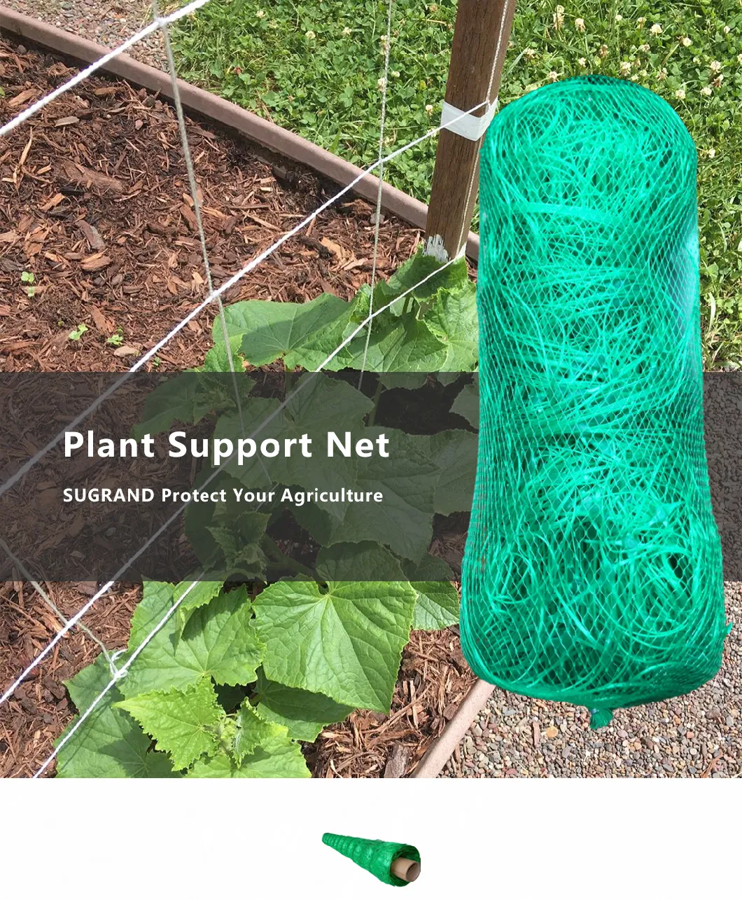 Durable New Coming HDPE Plant Climbing Plastic Wire Trellis Support Net