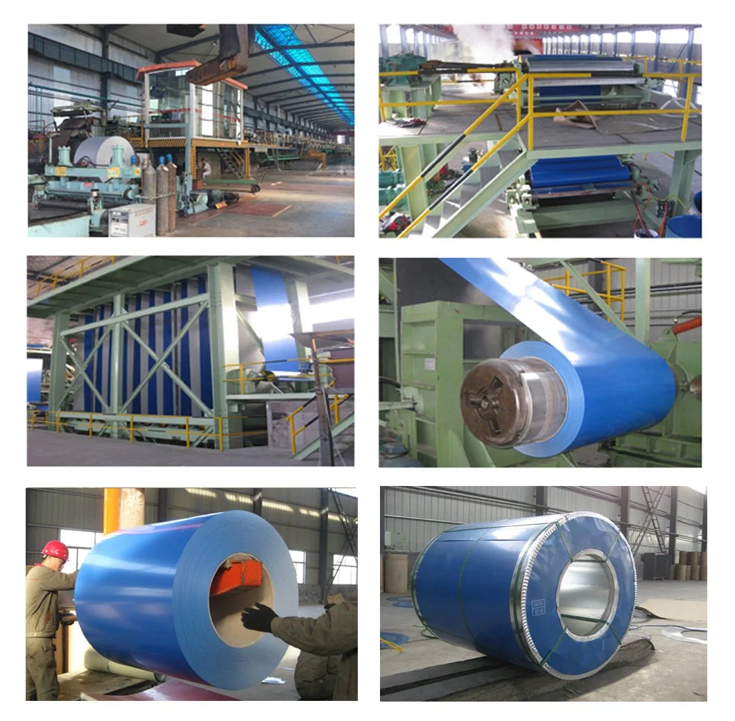 PPGI Ral Color Zn Coated Pre-Painted Dx51d Galvanized Steel Coil