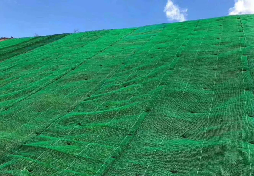 Erosion Control Mat 3D Fabric Geomat Slope Protection