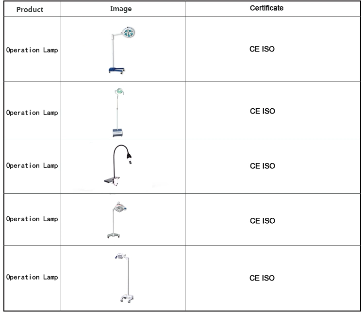 Medical Use Shadowless Lamp Operation Lamp with Optional Stand