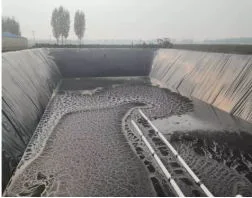 Price HDPE Geomembrane for Dam Fish Farm Pool Pond Liner