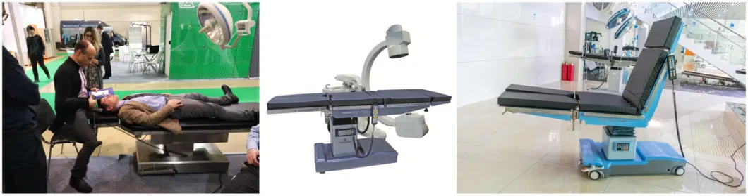 Factory Price Best Price Hospital Furniture Equipment Bed Table Dst-III Electric Operating Table Surgical Table Veterinary Surgery Operation Table