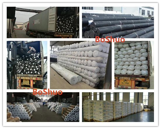 Polyester Staple/Short Fiber Needle Punched Non Woven Geotextile Fabric